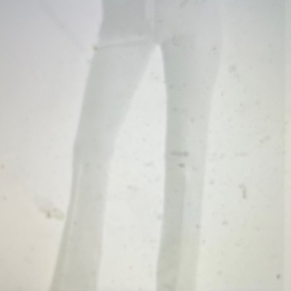 Rekucci Womens Ease Into Comfort White Boot Cut Pants 8